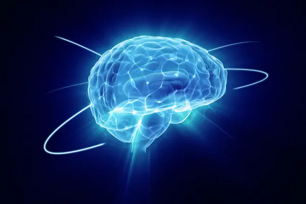 Neurozenix-Brain-Result-image